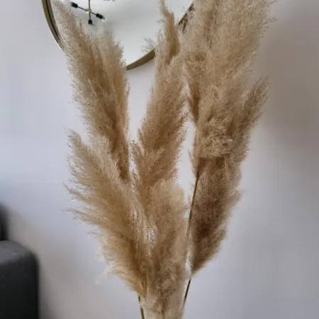 Апартаменти Frida- Free Private Parking *